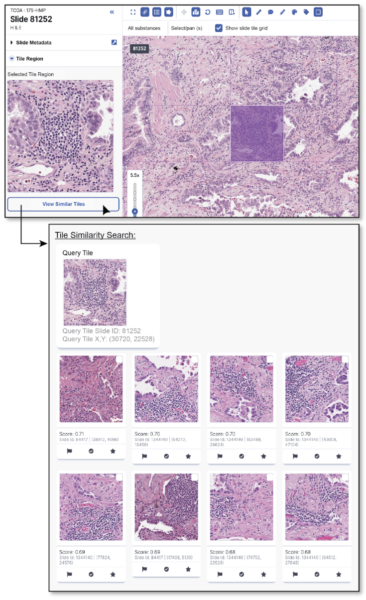 Figure 4: Similarity search user interface