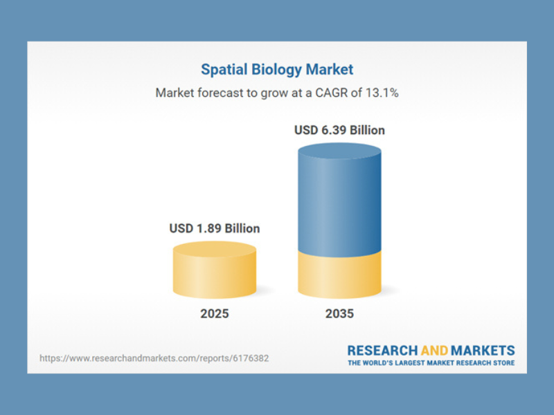Spatial biology market