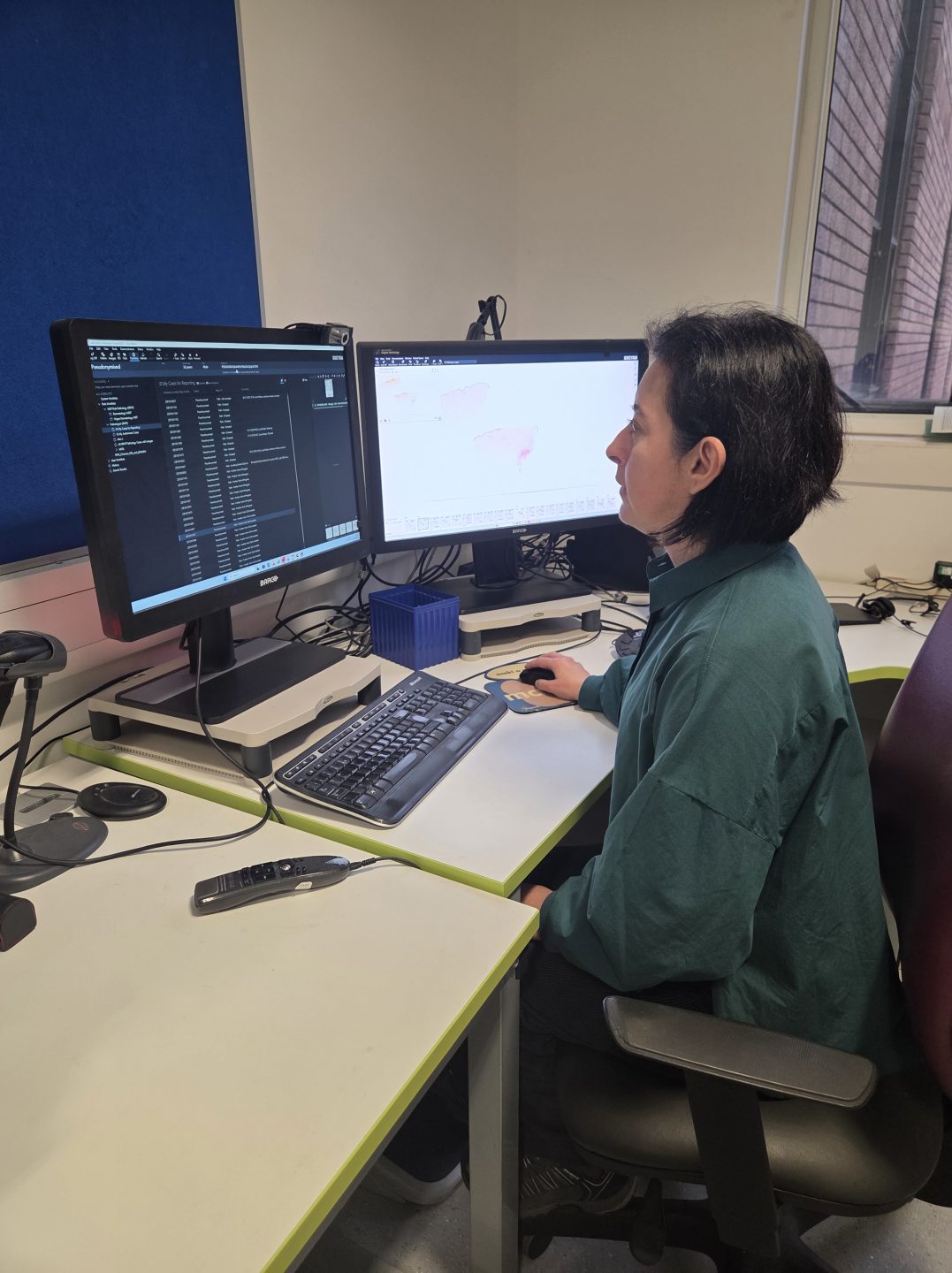Dr luisa motta using digital pathology