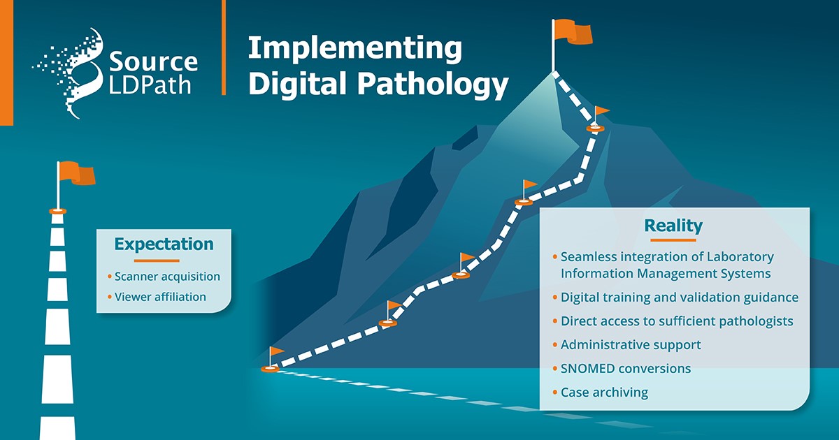 Implementing Digital Pathology Infographic