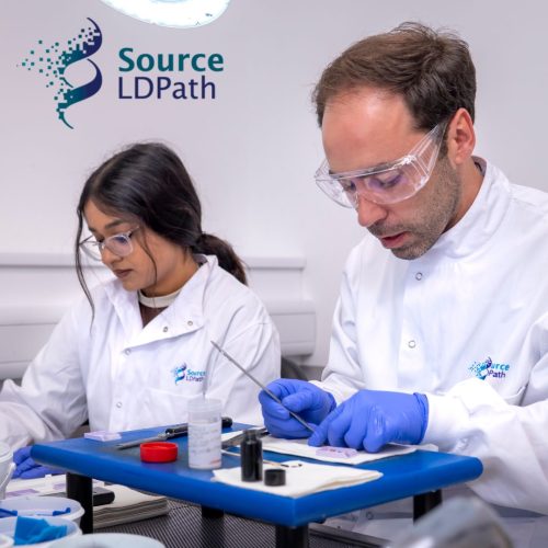 Source LDPath
