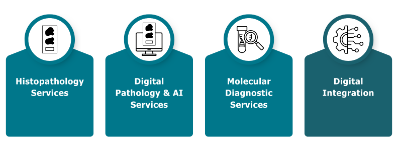 Source LDPath Services Infographic