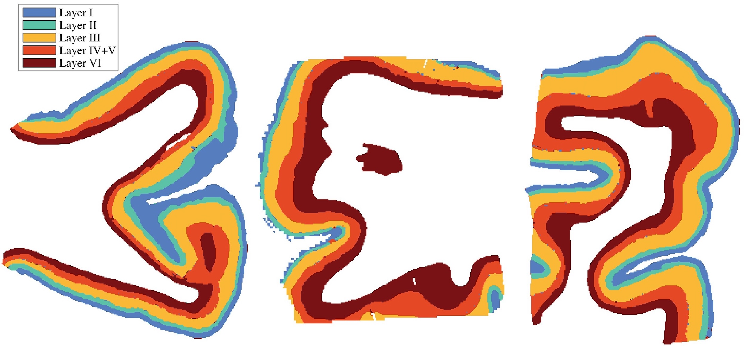 Tissue Segmentation
