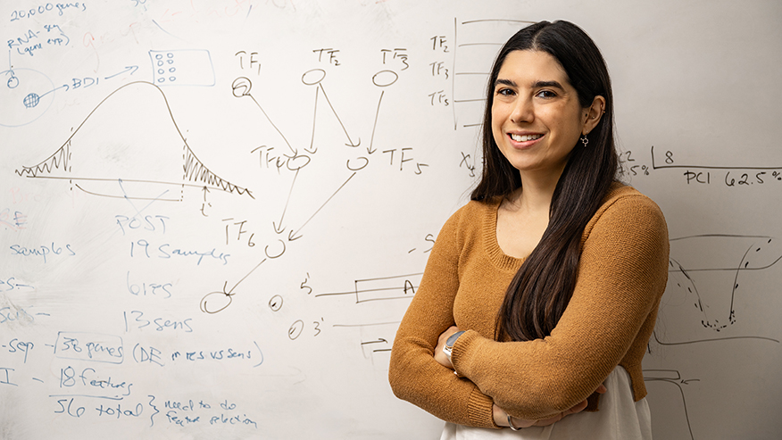 Lanman datasets