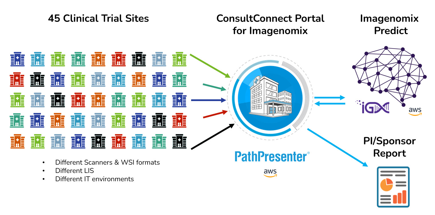 ConsultConnect Imagenomix
