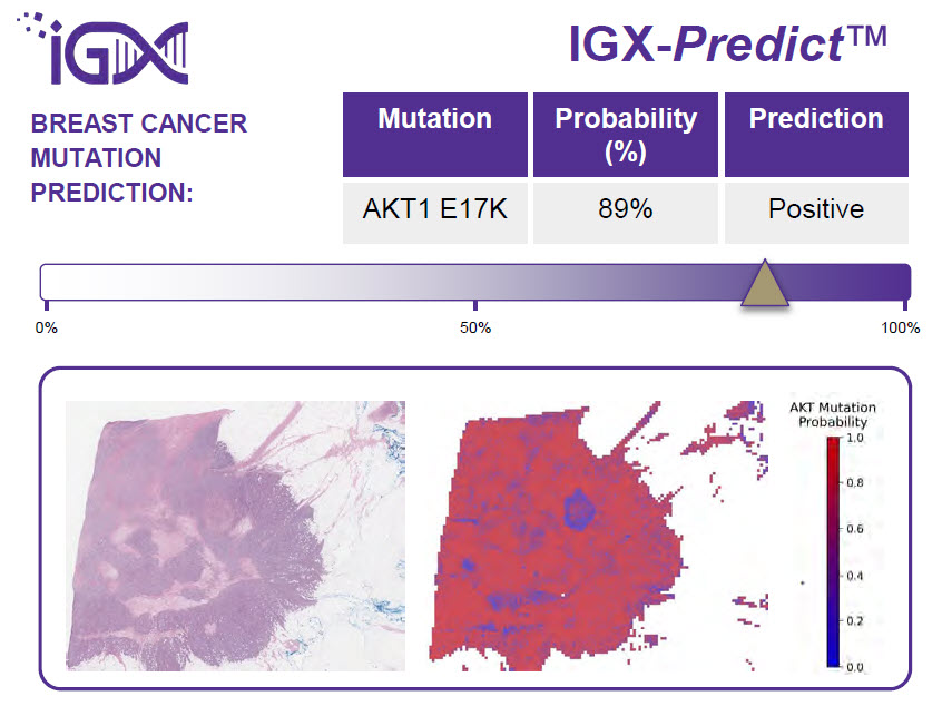 IGX predict