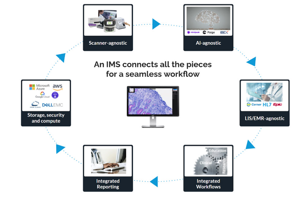 IMS connects pieces