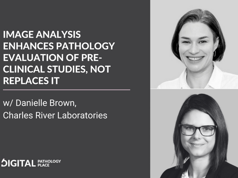 Image Analysis Enhances Pathology Evaluation of Preclinical Studies, not Replaces it
