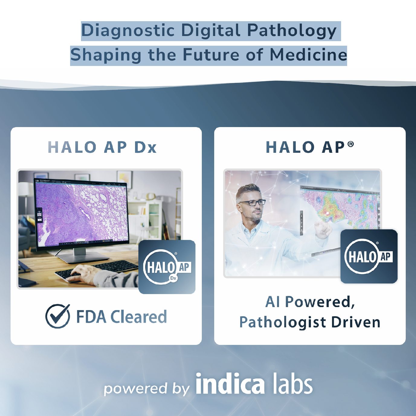 Indica Brochure