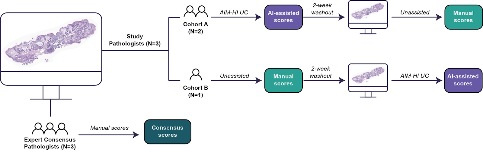 Figure 3. Study design to evaluate AIM-HI UC as an AI-Assist tool.