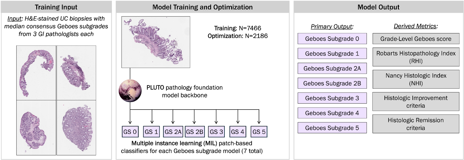 Figure 1. AIM-HI UC training process and outputs