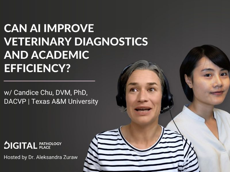 Can AI Improve Veterinary Diagnostics and Academic Efficiency w Candice Chu, DVM, PhD, DACVP, Texas A&M University
