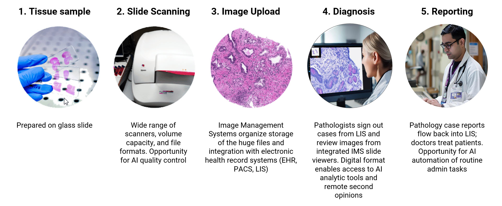 DP clinical workflow