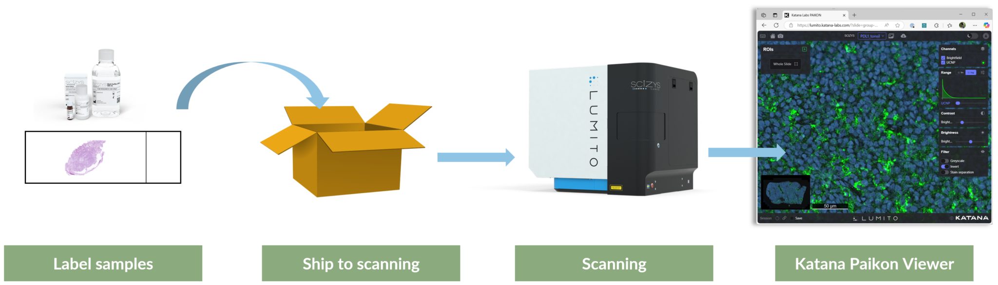 Scan-as-a-Service