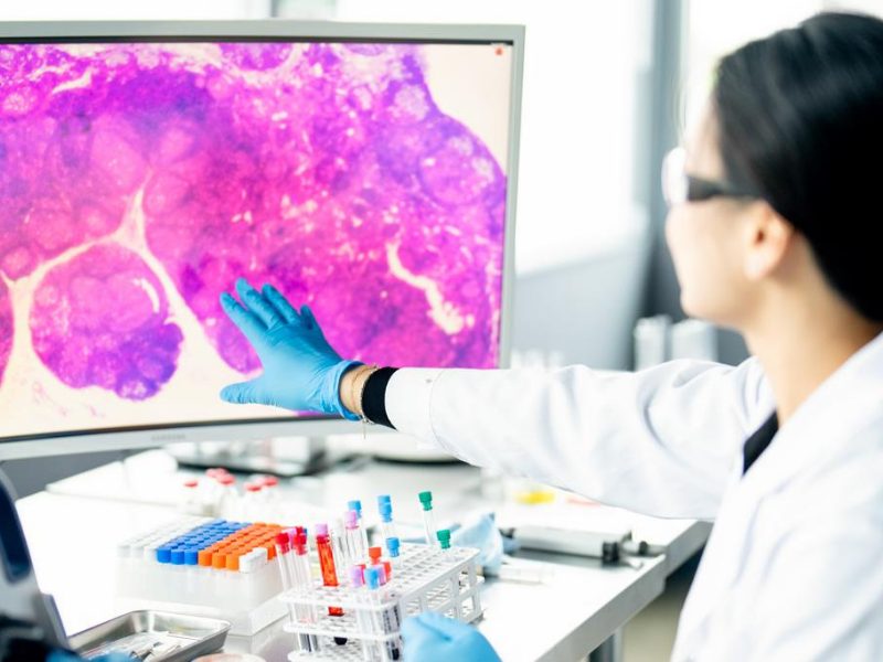 $25 Million Project Seeks to Coordinate Data Produced by Human Based Testing Methods