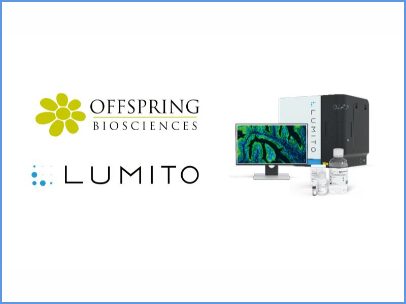 Lumito and Offspring Biosciences Initiate Pilot Study to Combine Automated, Standardised Workflows with High‑sensitivity Tissue Analysis
