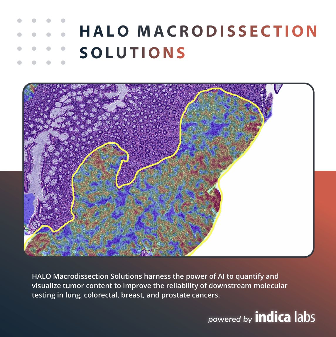 Indica brochure