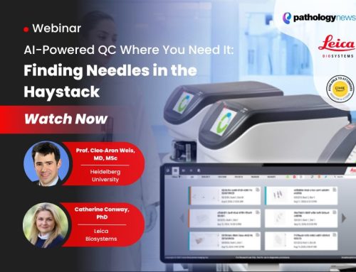 AI Powered QC Where You Need It: Finding Needles in the Haystack