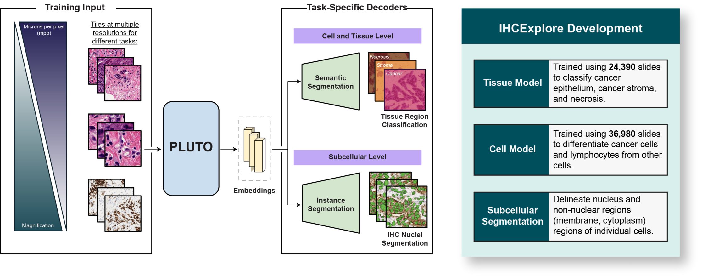 Figure 2. IHCExplore development