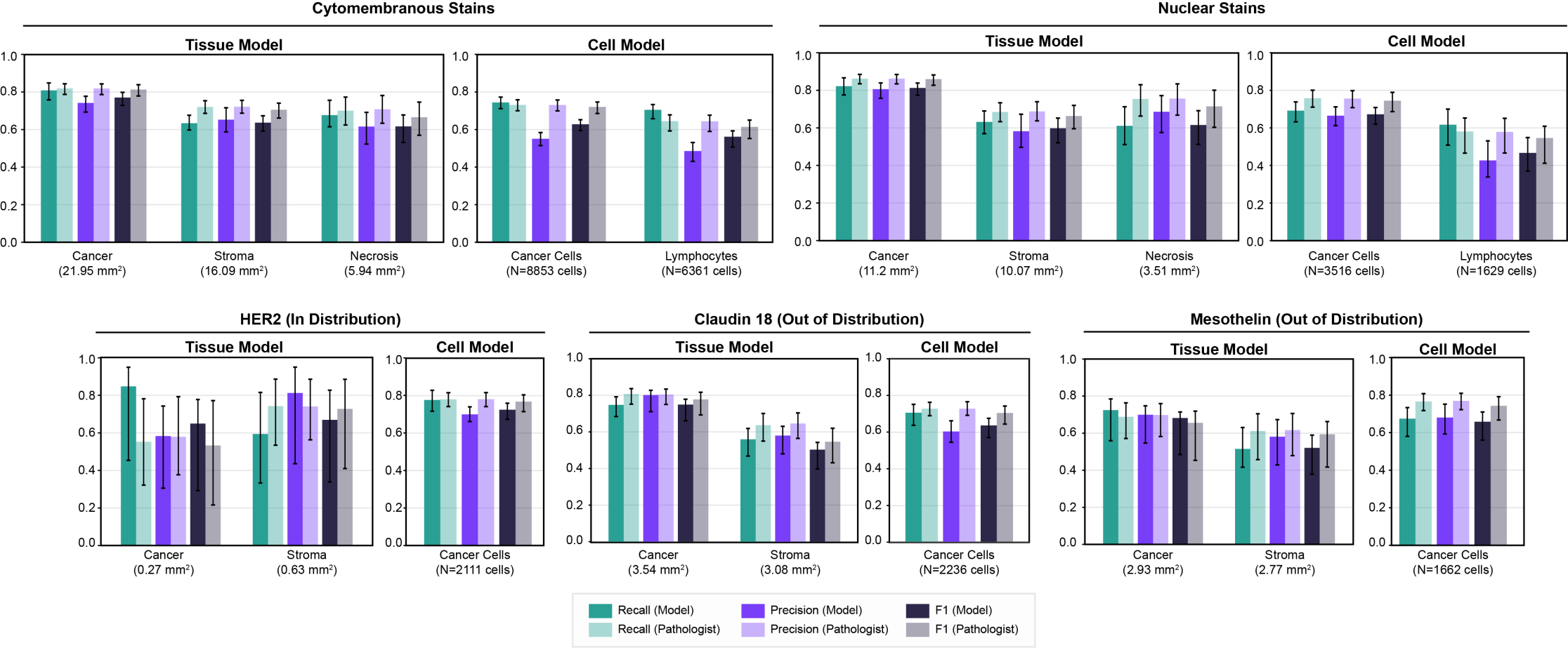 Figure 3. IHCExplore predictions are comparable to pathologist labeling of relevant tissue regions and cell types.