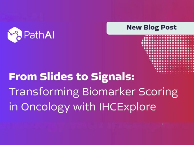 From Slides to Signals Transforming Biomarker Scoring in Oncology with IHCExplore
