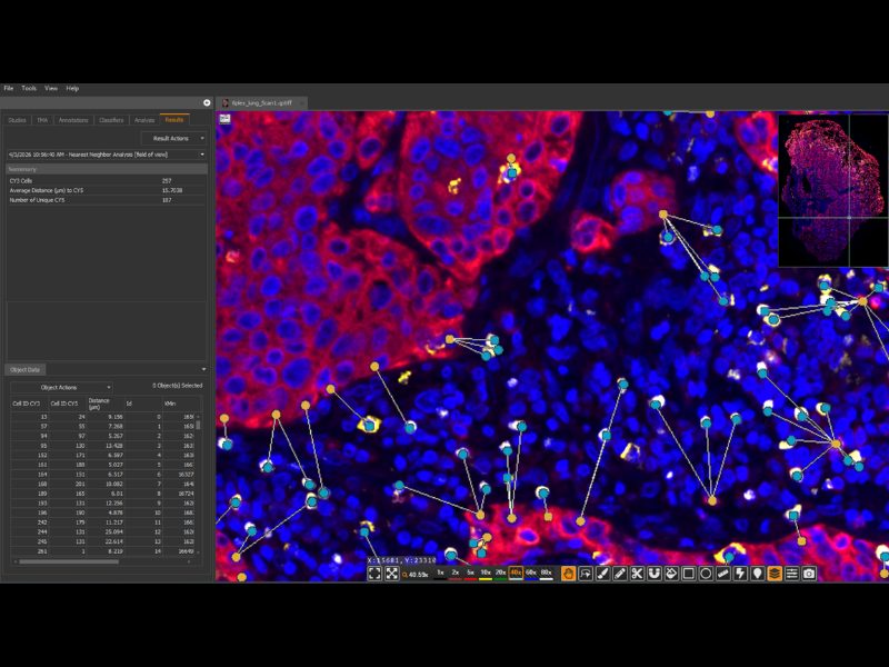 Masterclass Performing Spatial Analysis Workflows with HALO®