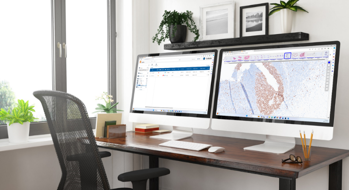 The Time to Go Digital Is Now… and It's More Achievable Than You Think