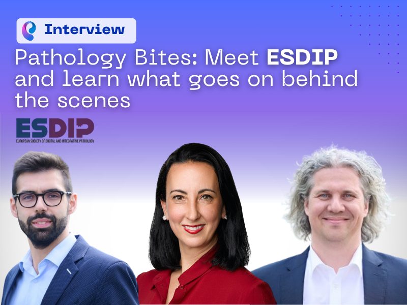Meet ESDIP