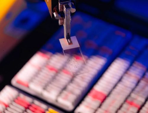 Mayo Clinic Digital Pathology Building Ecosystem to Advance Next-generation Diagnostics