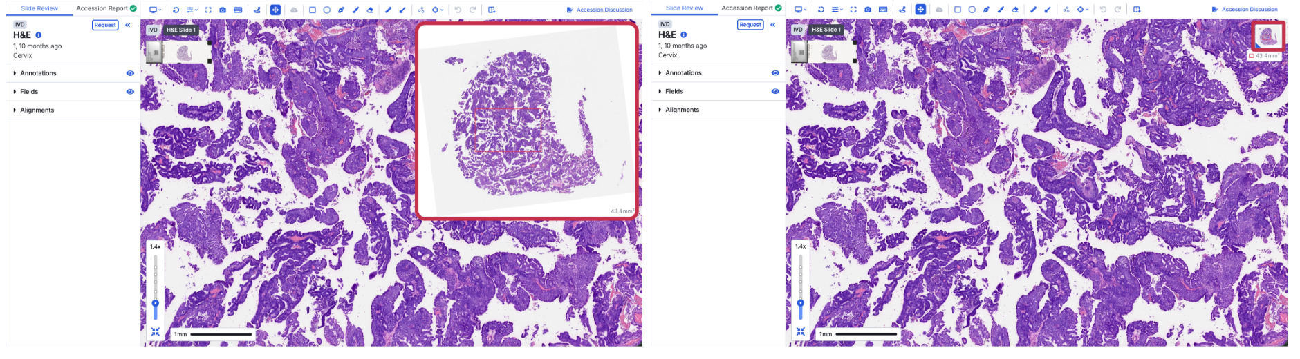 Figure 4: Slide navigator size