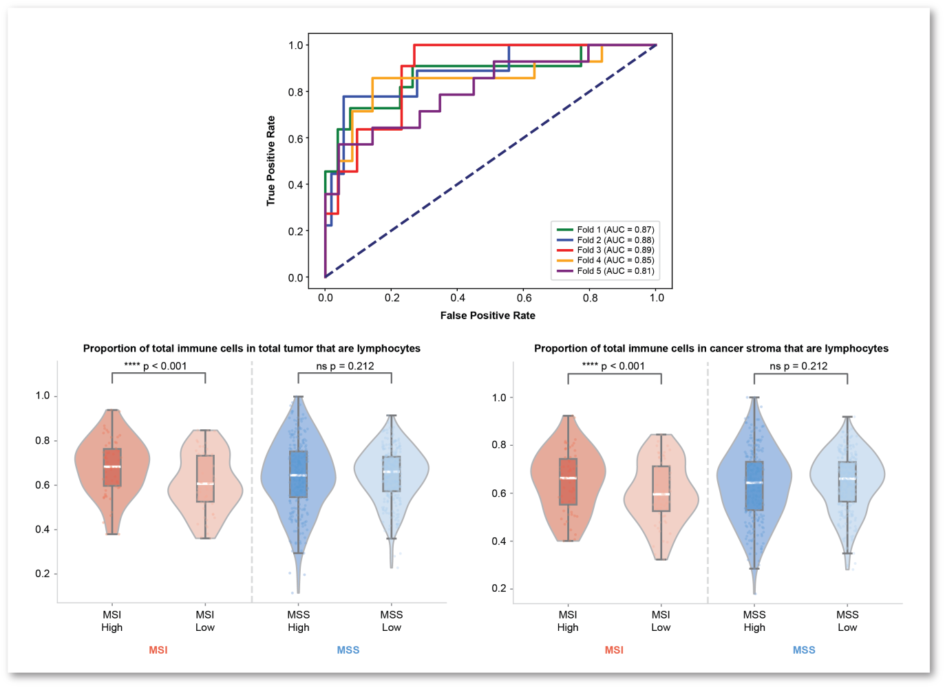 Figure 4. Prediction of MSI status from H&E-stained slides in gastric cancer, and association of lymphocyte proportion with model attention. Figure modified from [15].