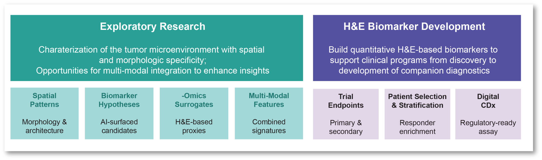 Figure 5. Potential utility for quantitative, AI-based analysis of H&E-stained cancer specimens.