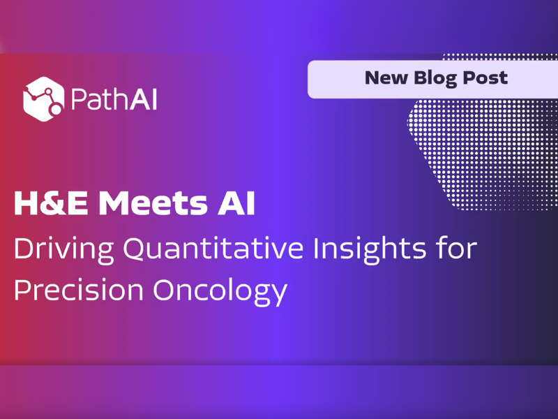 H&E Meets AI Driving Quantitative Insights for Precision Oncology