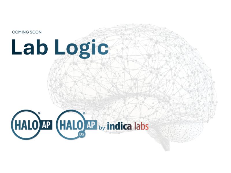 Lab Logic 600x800