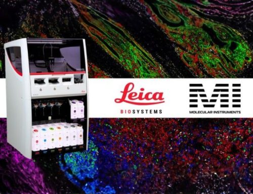Molecular Instruments Advances Automated Multiplex Tissue Research with HCR™ Gold IF on the BOND RX Research Staining Instrument
