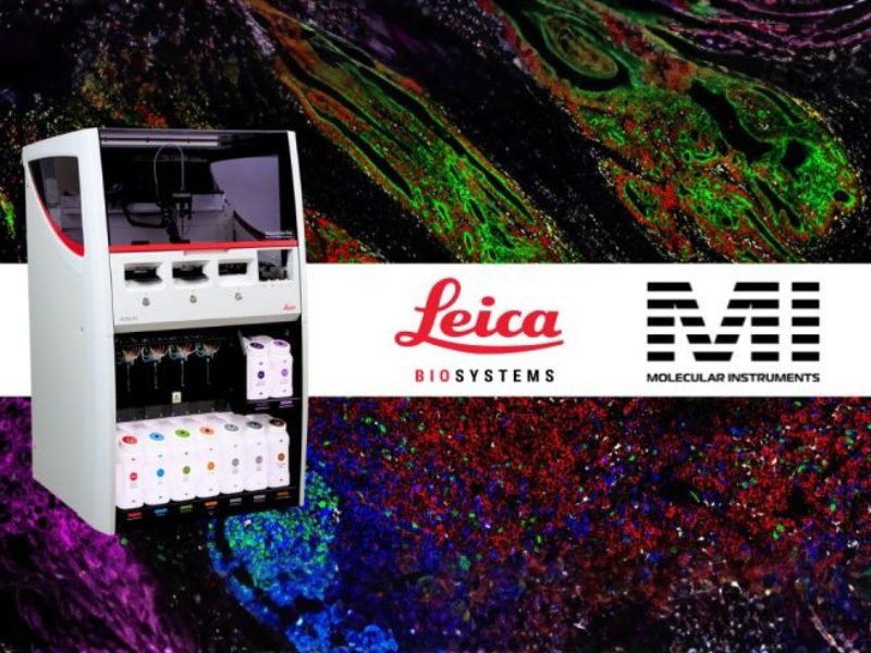 Molecular Instruments Advances Automated Multiplex Tissue Research with HCR™ Gold IF on the BOND RX Research Staining Instrument