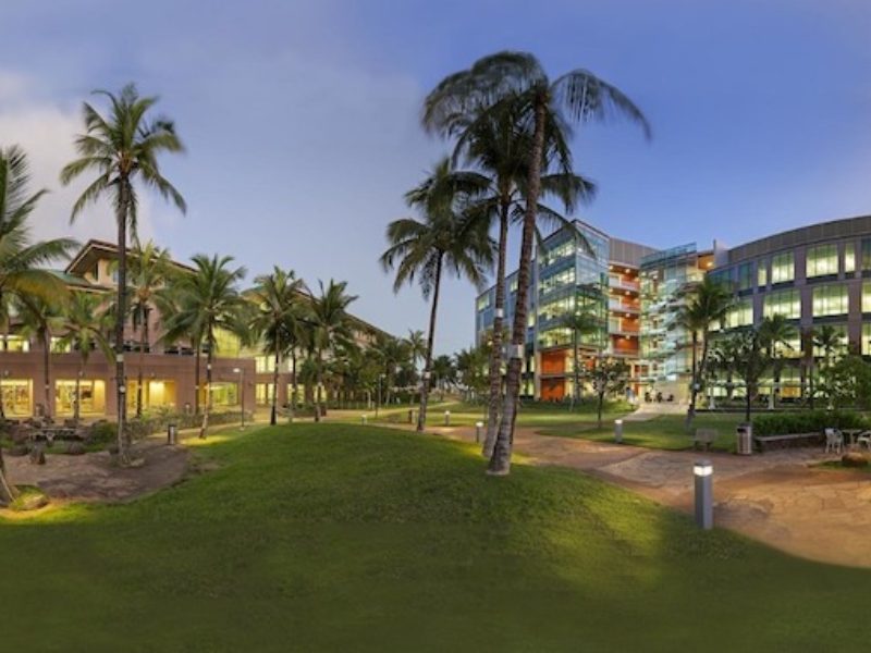UH Researchers Awarded $12M Grant to Advance AI, Data Science in Medicine