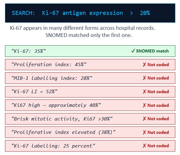 Ki 67 search1