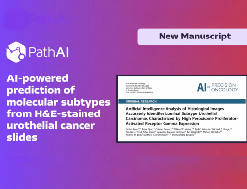 Artificial Intelligence Analysis of Histological Images Accurately Identifies Luminal Subtype Urothelial Carcinomas Characterized by High Peroxisome Proliferator-Activated Receptor Gamma Expression