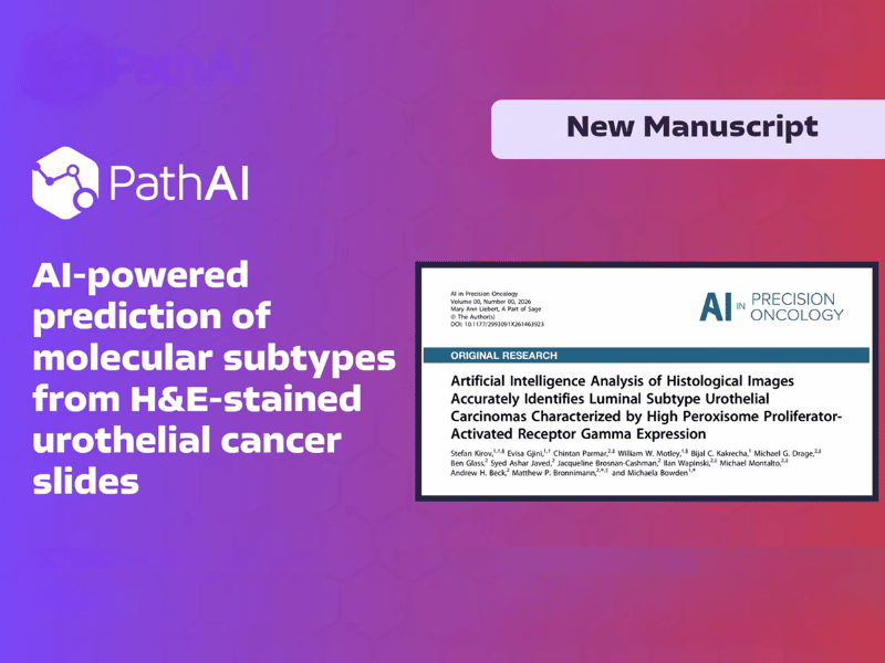 Artificial Intelligence Analysis of Histological Images Accurately Identifies Luminal Subtype Urothelial Carcinomas