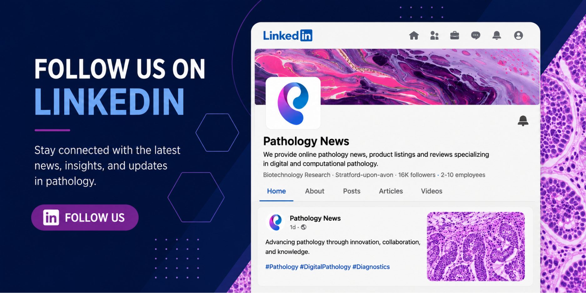 LinkedIn banner