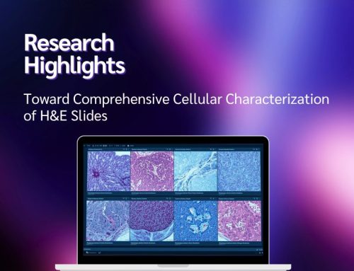 Toward Comprehensive Cellular Characterization of H&E Slides