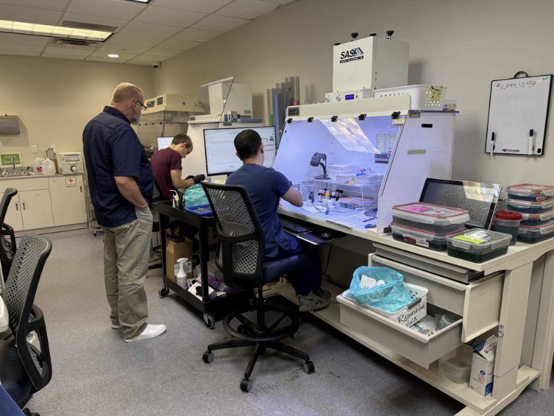 Elea PR OnePath Diagnostic Now Runs on elea's AI-Native Pathology Operating System