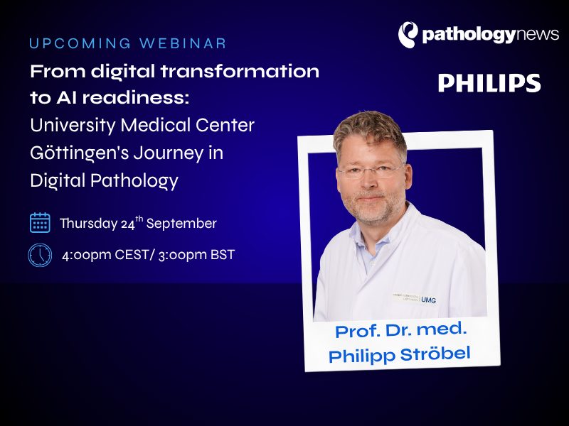 PHI WEB1