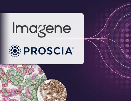 Imagene AI Joins Proscia Ready Partner Alliance to Advance AI-Powered IHC Companion Diagnostics Development