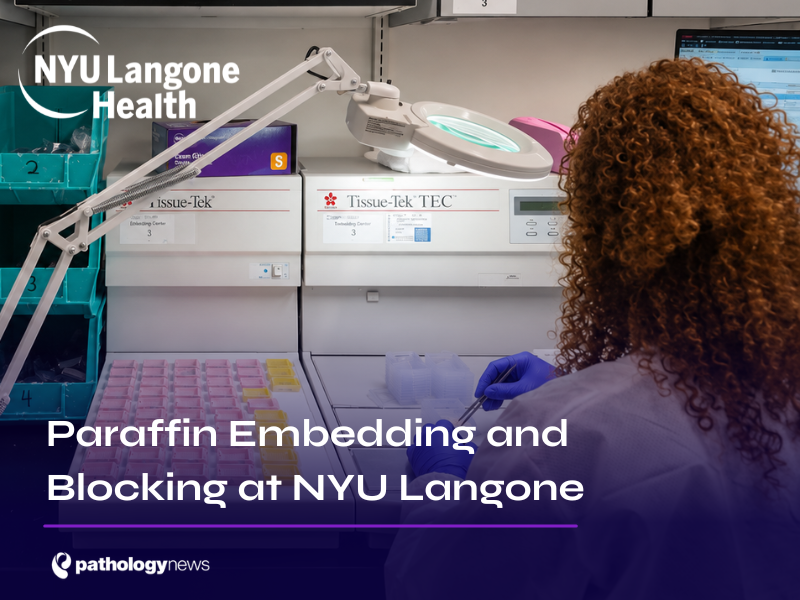 Paraffin Embedding and Blocking at NYU Langone