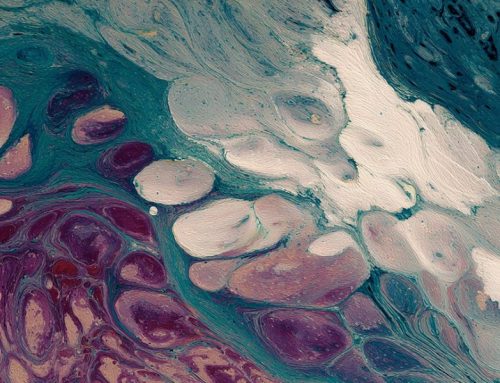 Freedom to Grow: Why an Open, Interoperable Platform Is Non-Negotiable for Digital Pathology