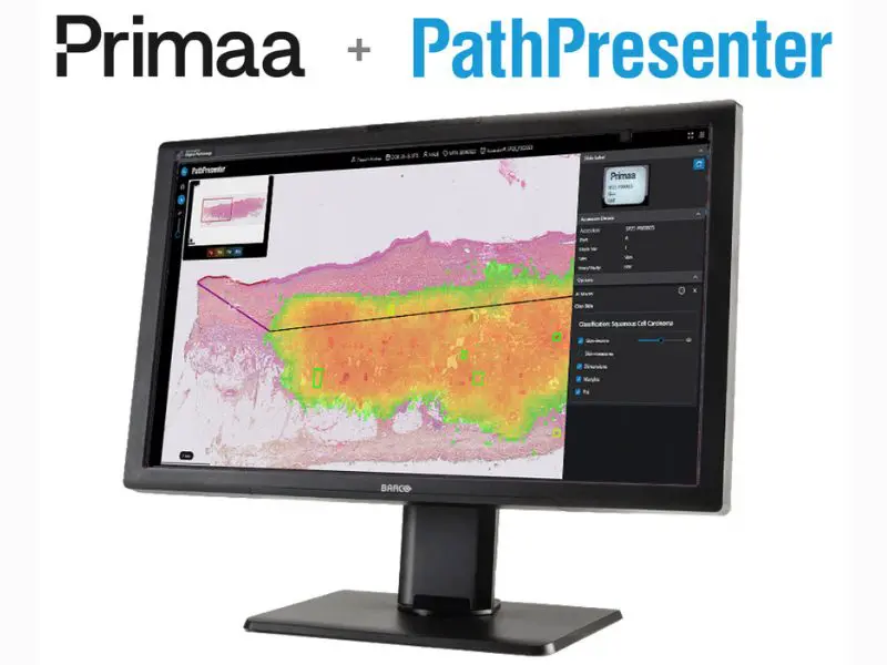 From AI to Clinical Workflow Validating AI Assisted Dermatopathology with Primaa and PathPresenter