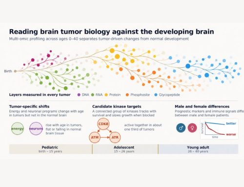 Study Identifies Candidate Treatment Targets for High-Grade Glioma in Children and Young Adults