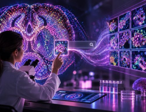 mViSE: A New Visual Search Engine for Spatial Proteomics